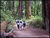 07192003_1204-90.JPG