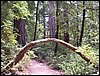 07192003_1206-90.JPG