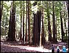 07192003_1207-90.JPG
