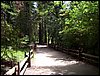 07192003_1216-90.JPG