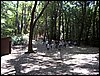 07192003_1229-90.JPG